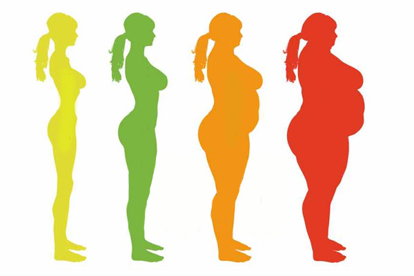 胖与瘦的剪影对比