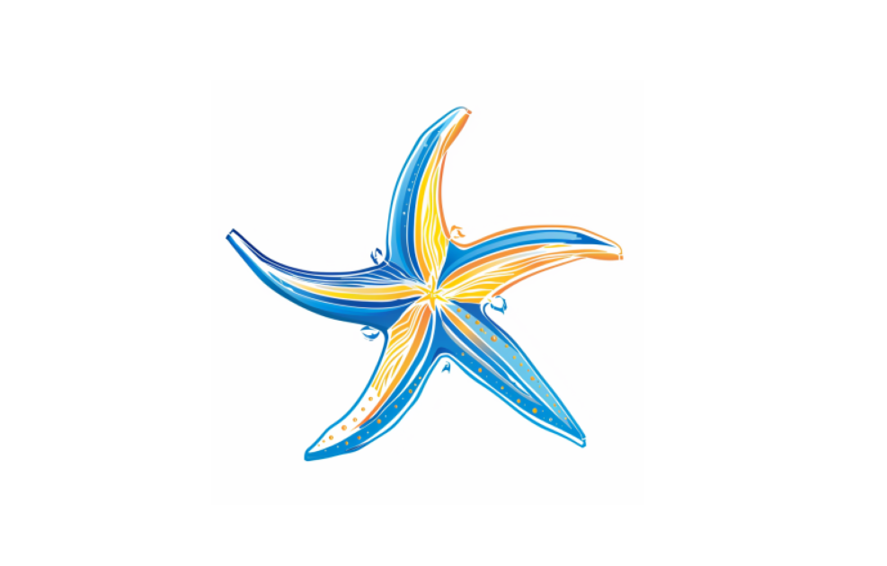 海星图片