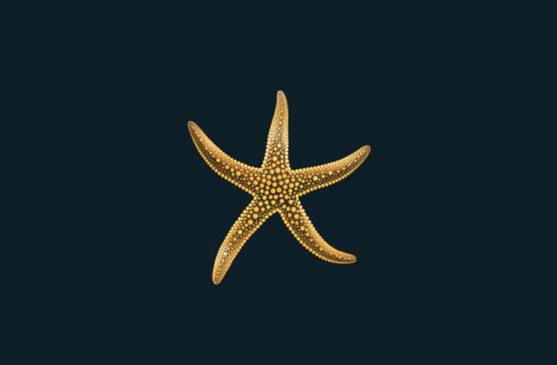 海星图片